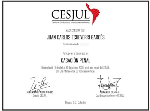 Casación penal — Juan Carlos Echeverri Garcés